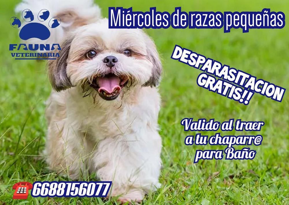 HOSPITAL VETERINARIO FAUNA