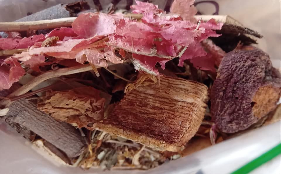 CENTRO NATURISTA DEL NORTE  