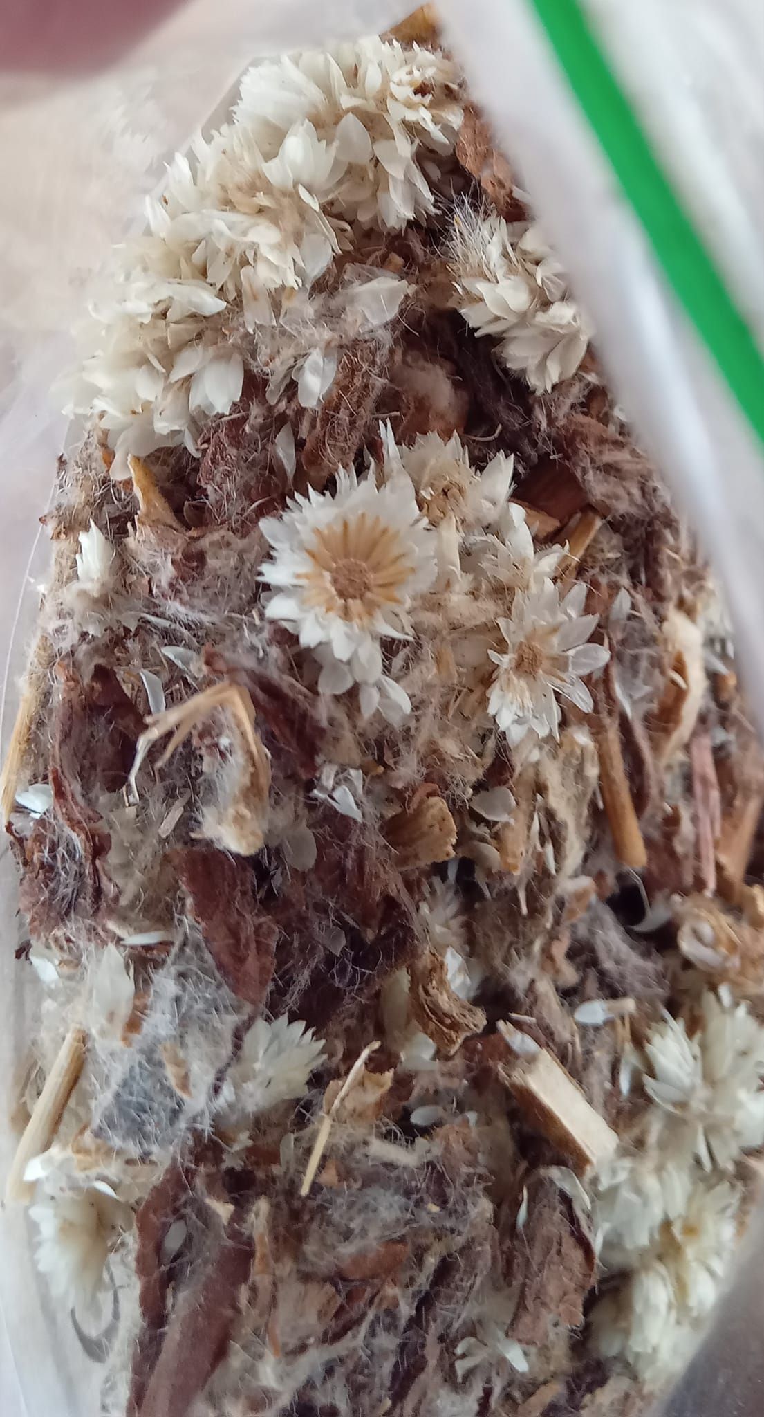 CENTRO NATURISTA DEL NORTE  