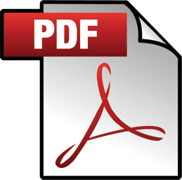 Download as PDF