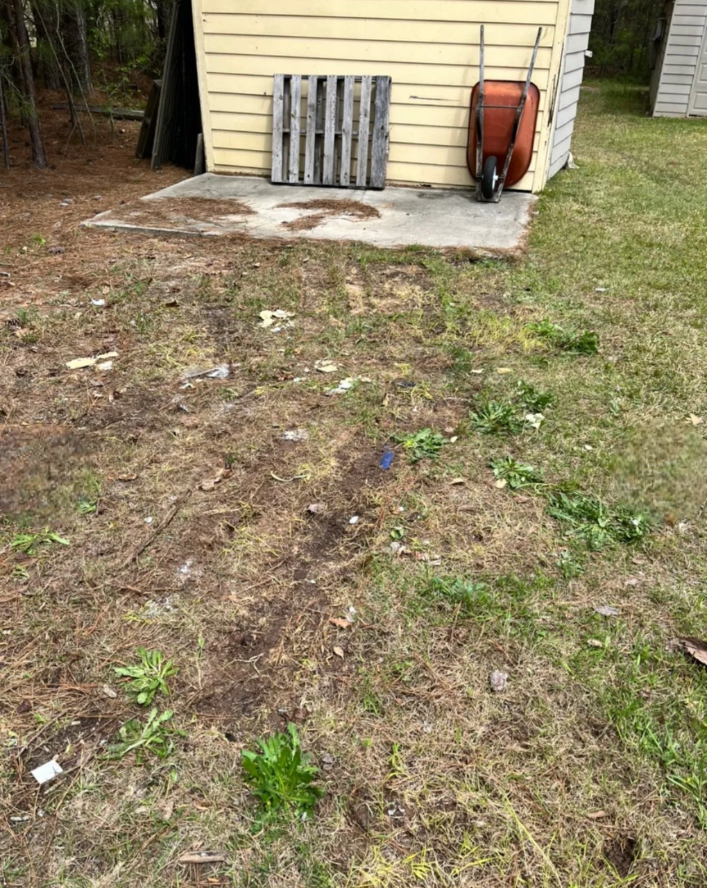 A brown yard with a wooden pallet and wheelbarrow next to a yellow shed. Some patches of green grass and weeds are scattered about.