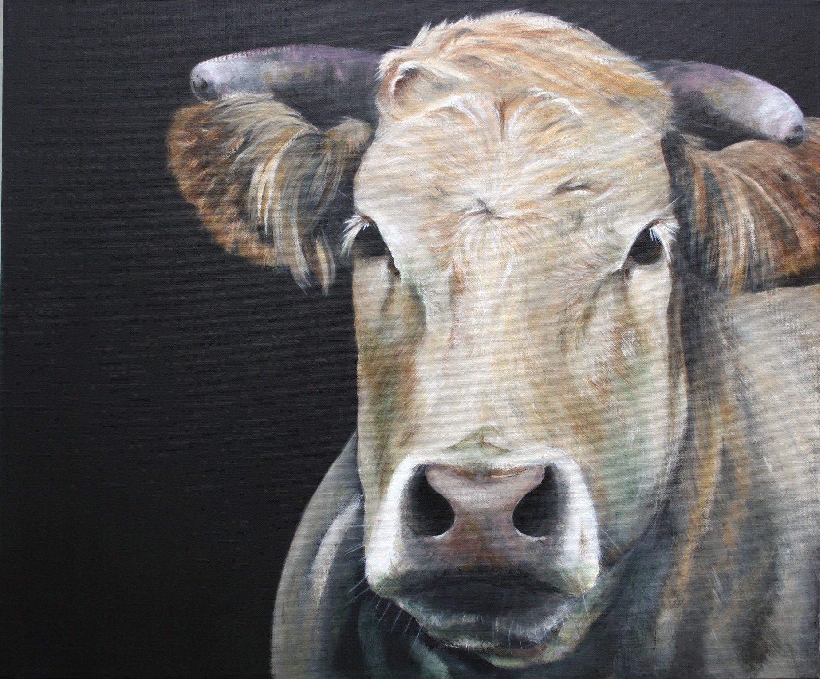 Schilderij Blonde d'Aquitaine koe, acryl op canvas