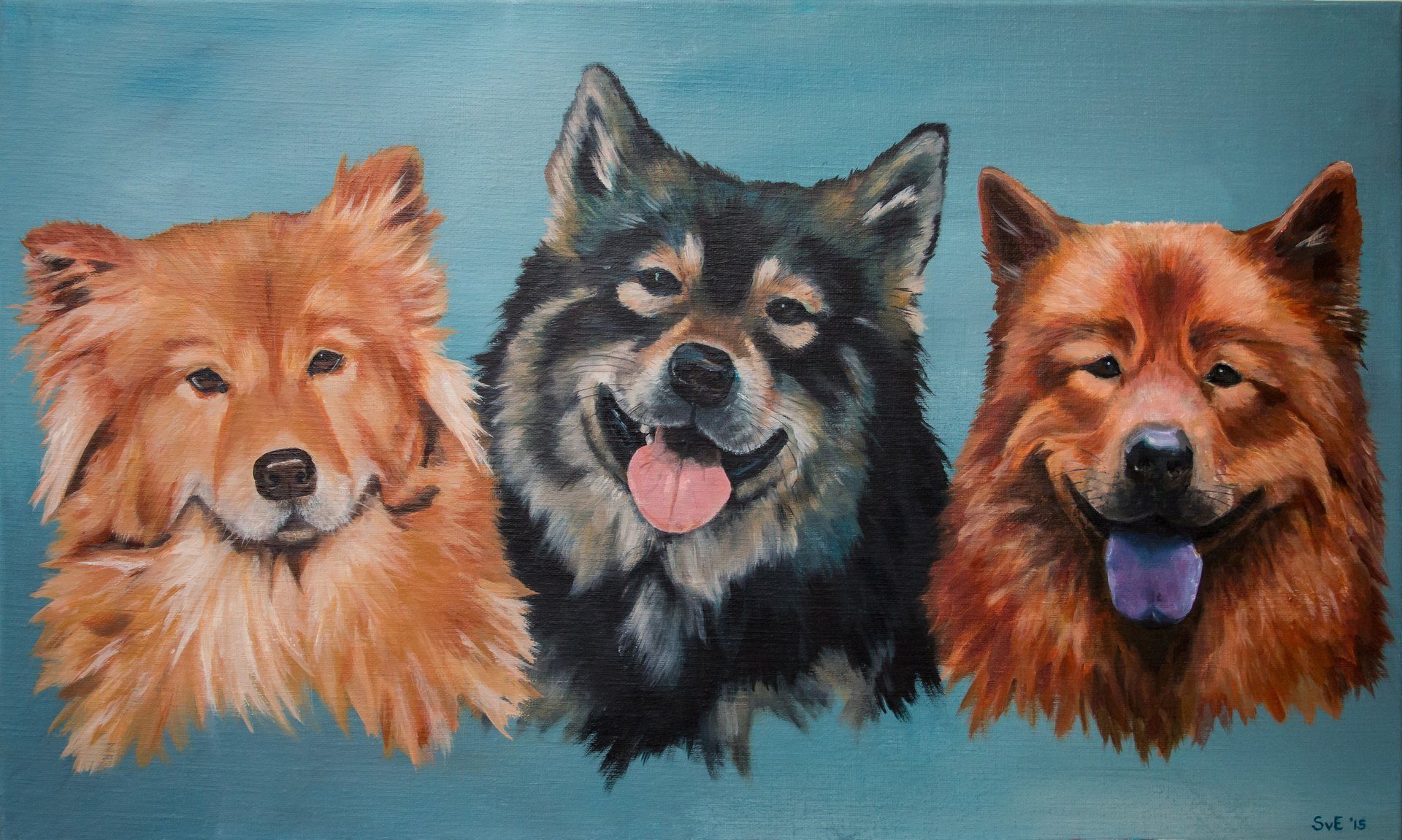 Eurasier, geschilderd acryl op canvas