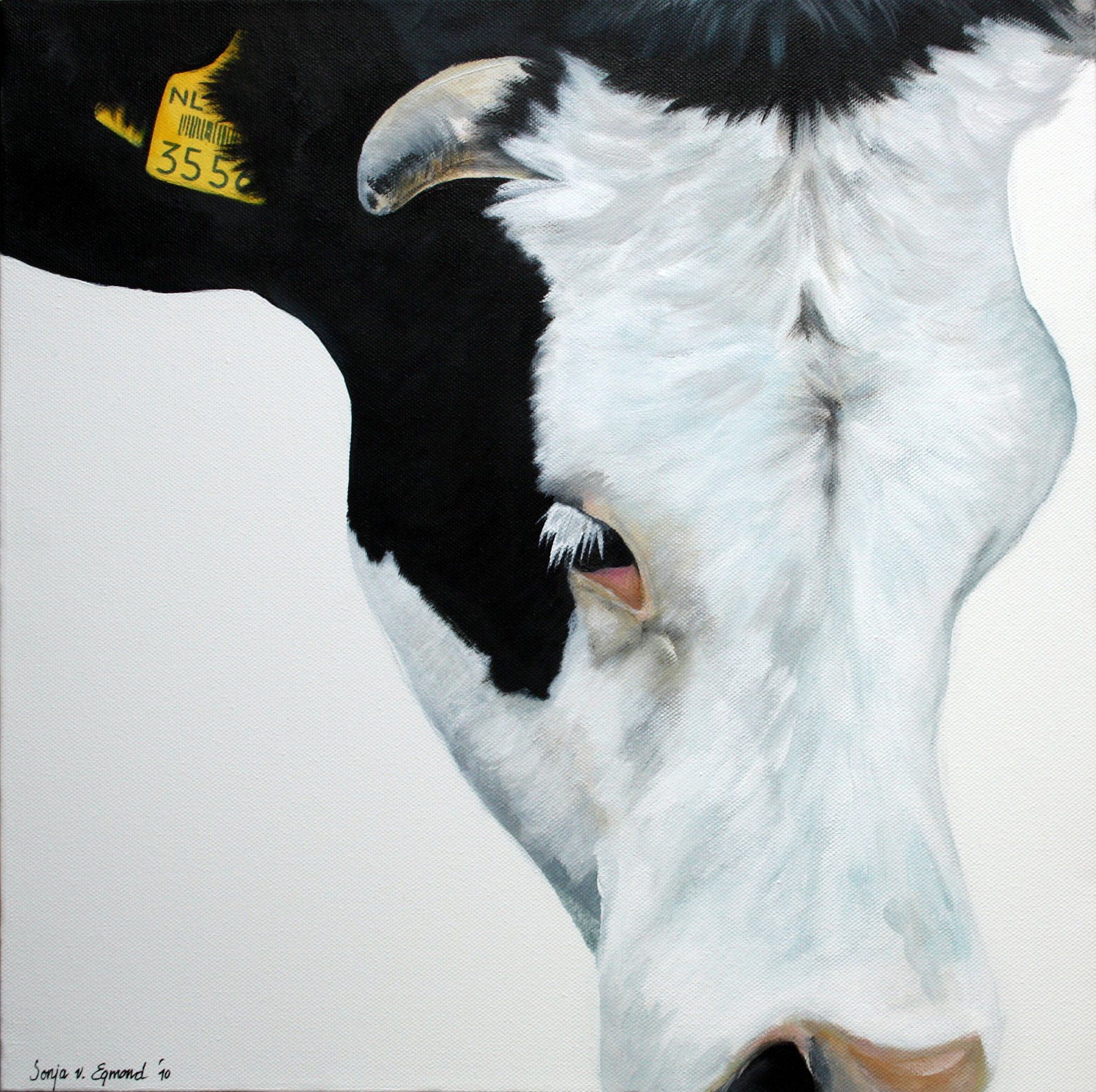 Blaarkop koe serie 3, acryl op canvas