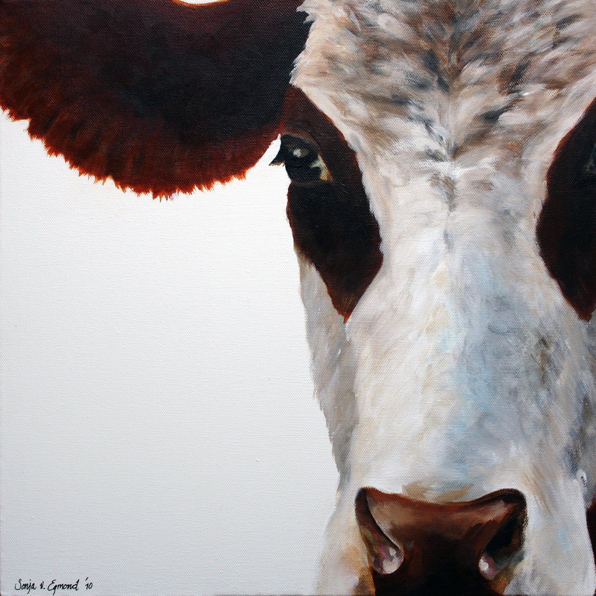 Blaarkop koe serie 2 , acryl op canvas