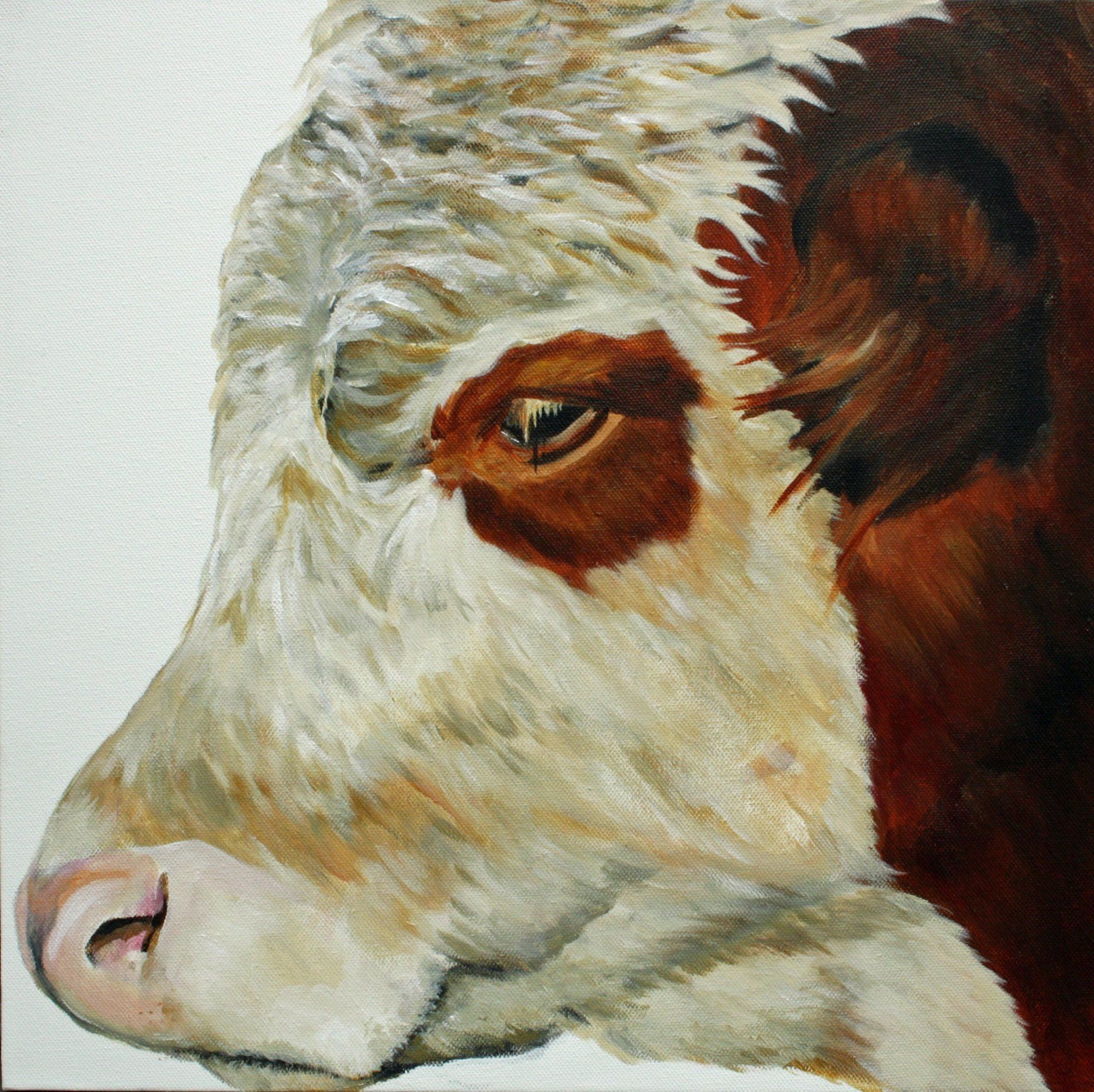 Blaarkop koe serie 5, geschilderd acryl op canvas