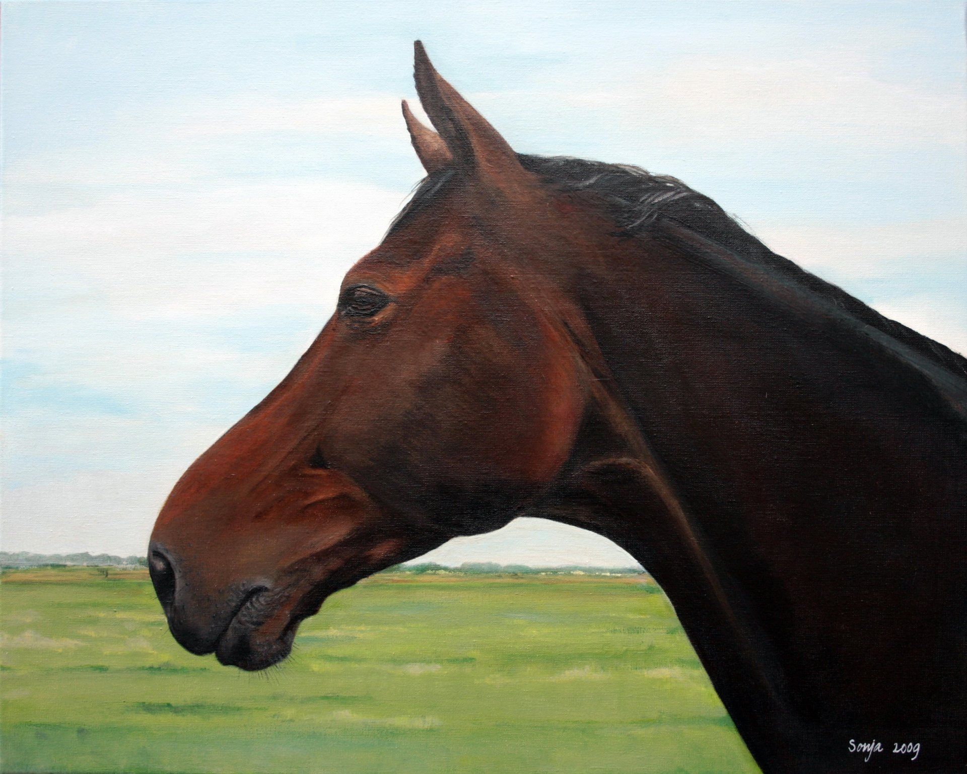 Schilderij Merrie, acryl op canvas