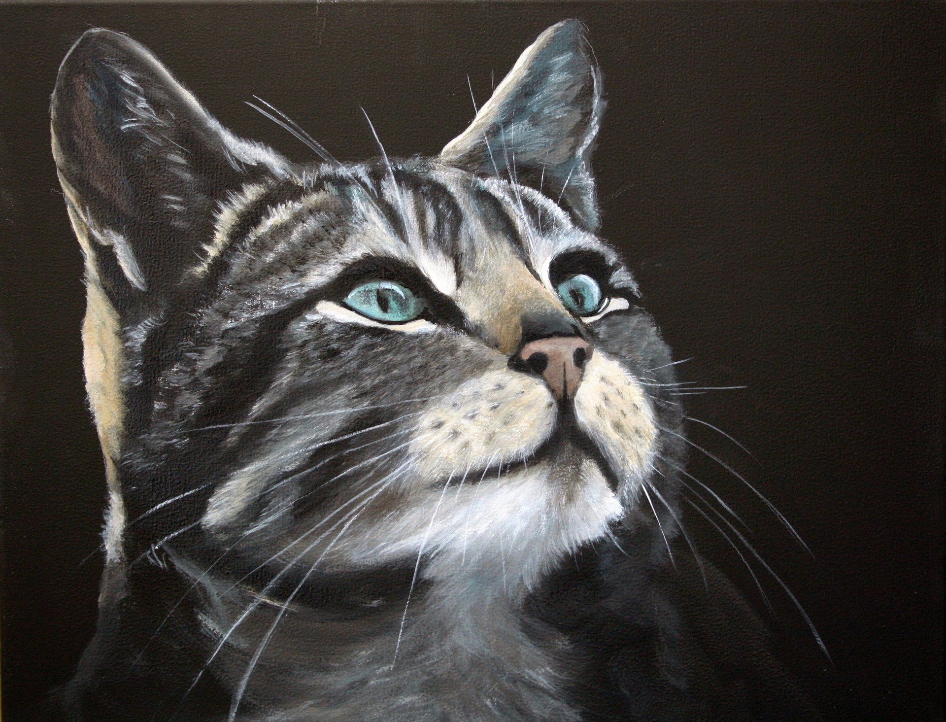 Schilderij kat, acryl op canvas