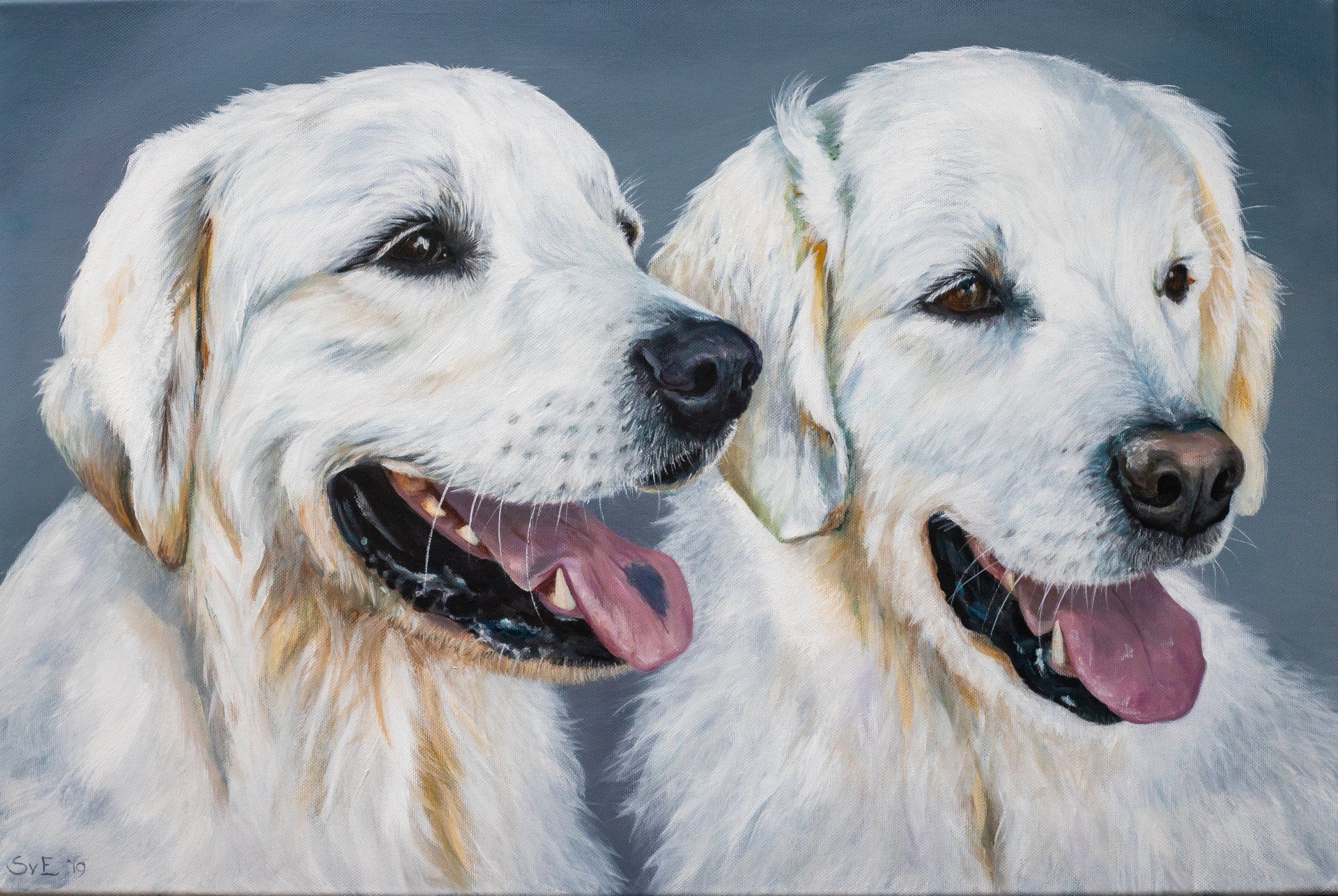 golden retrievers , acryl op canvas