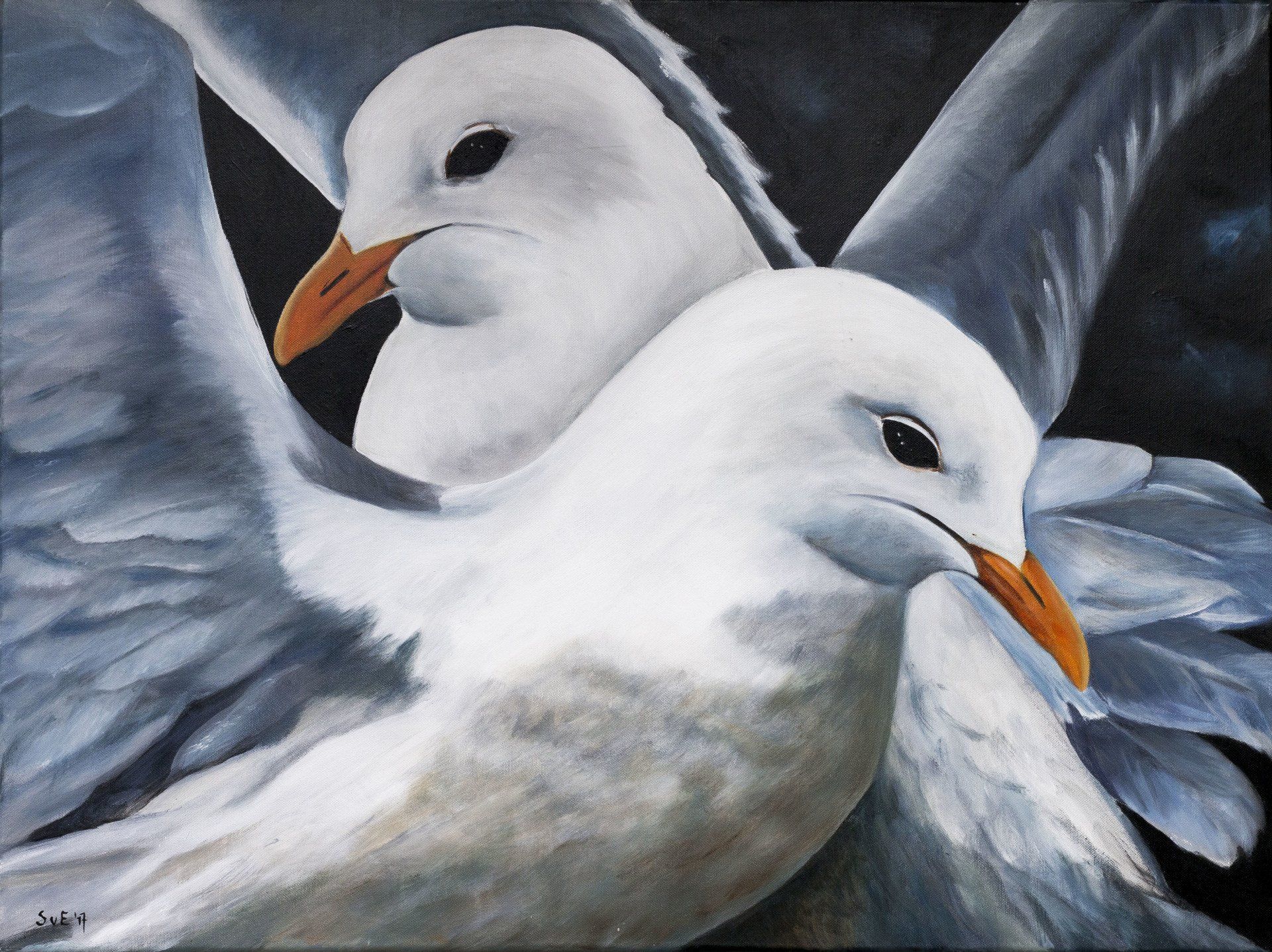 Meeuwen,  geschilderd acryl op canvas