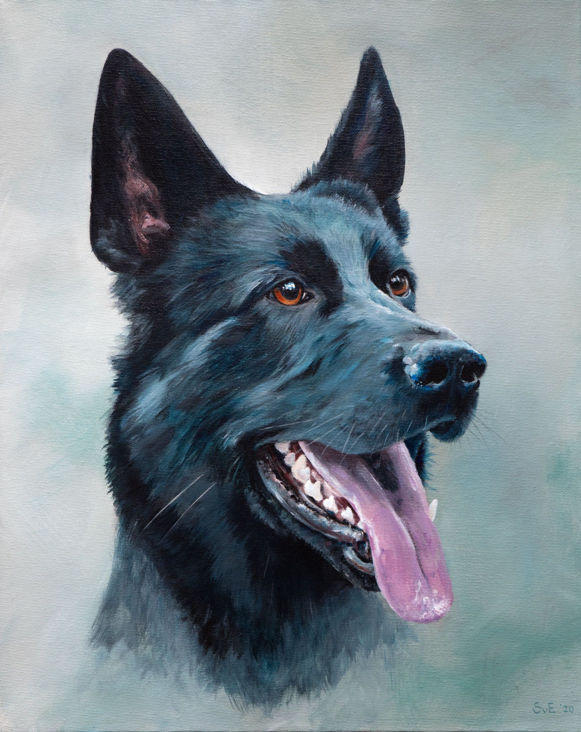 Schilderij Zwarte herder Ravi