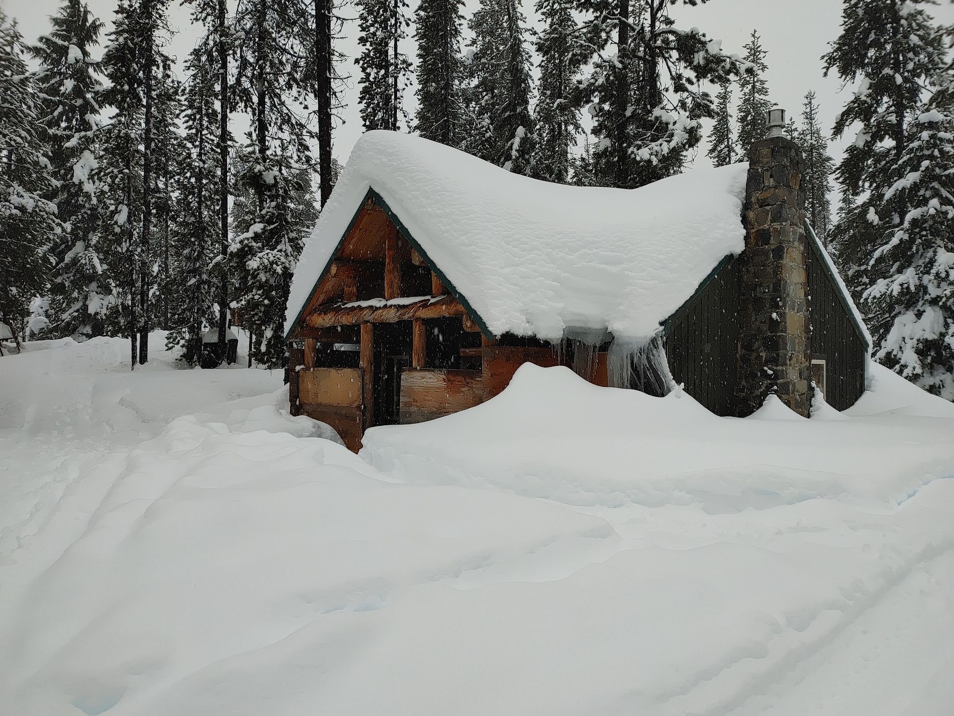 An airstream trailer is parked in the middle of a forest.