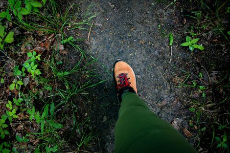 A person is walking on a dirt path in the woods.