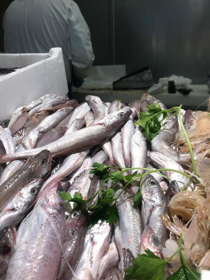 pesci appena pescati