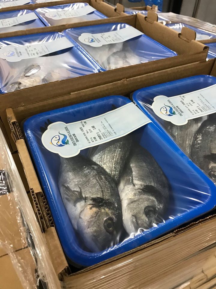 pesce fresco confezionato