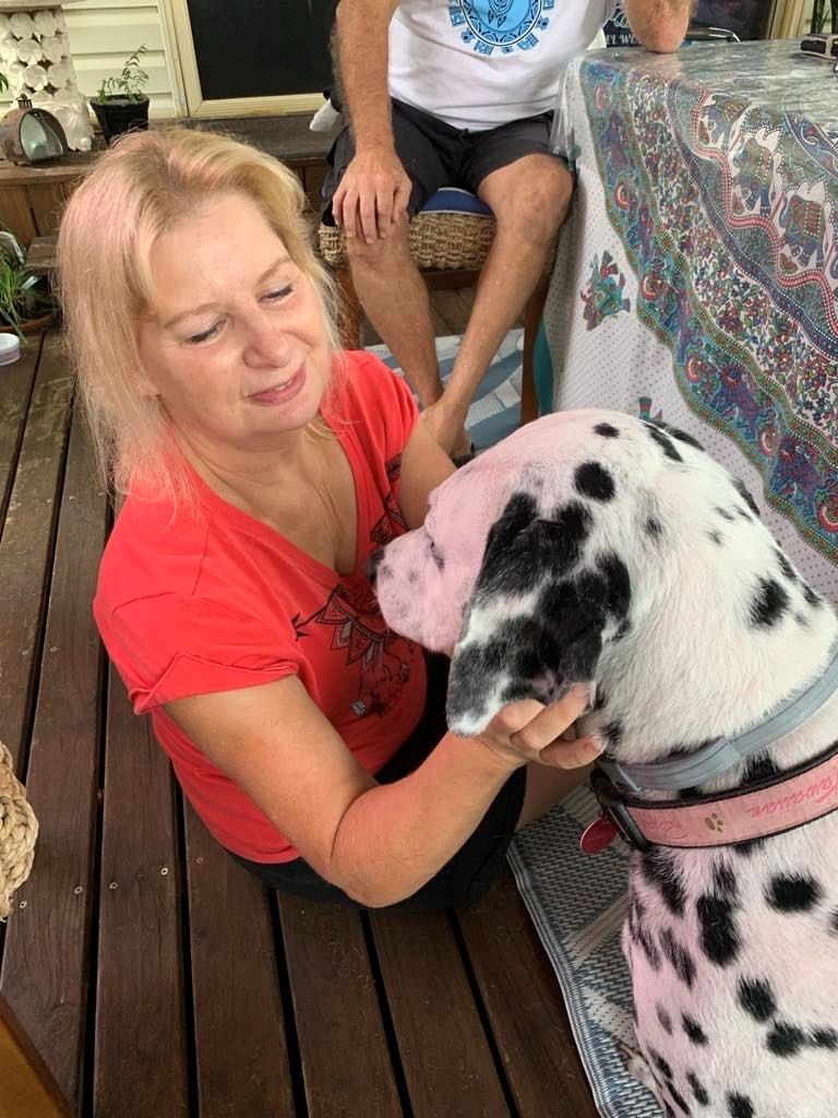 Bowen Therapy on Dog | Belmont North, NSW | Angel Wings Wellness Centre