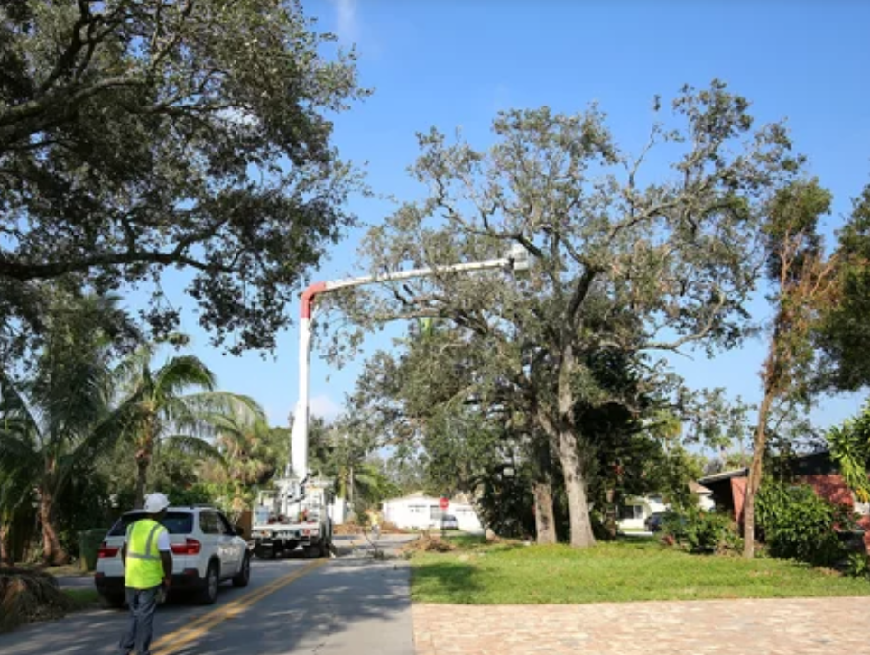 Tree trimming truck with bucket lift on a suburban street, worker in a neon vest nearby