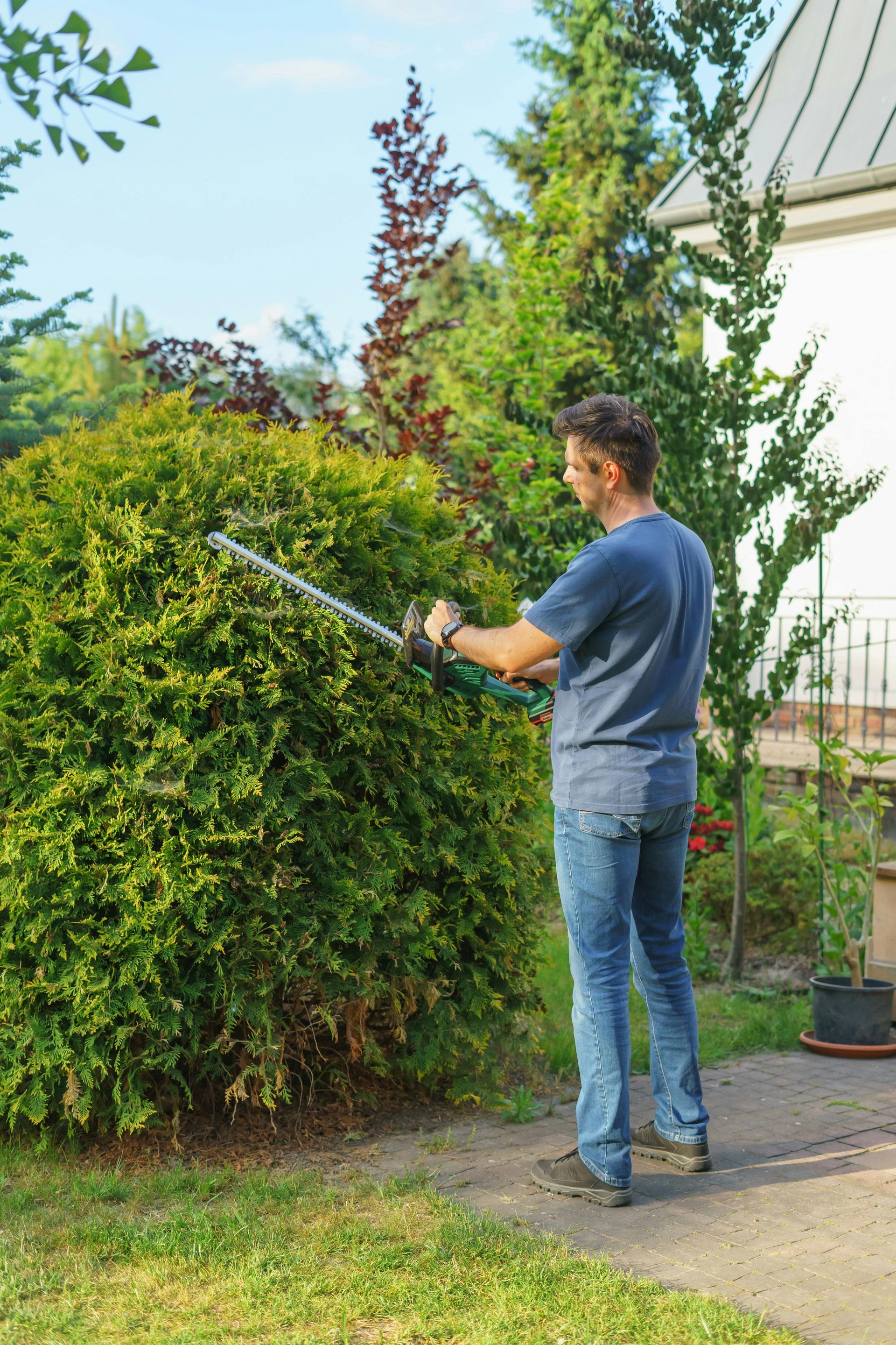 Person trimming a large green hedge with hedge trimmers in a backyard.