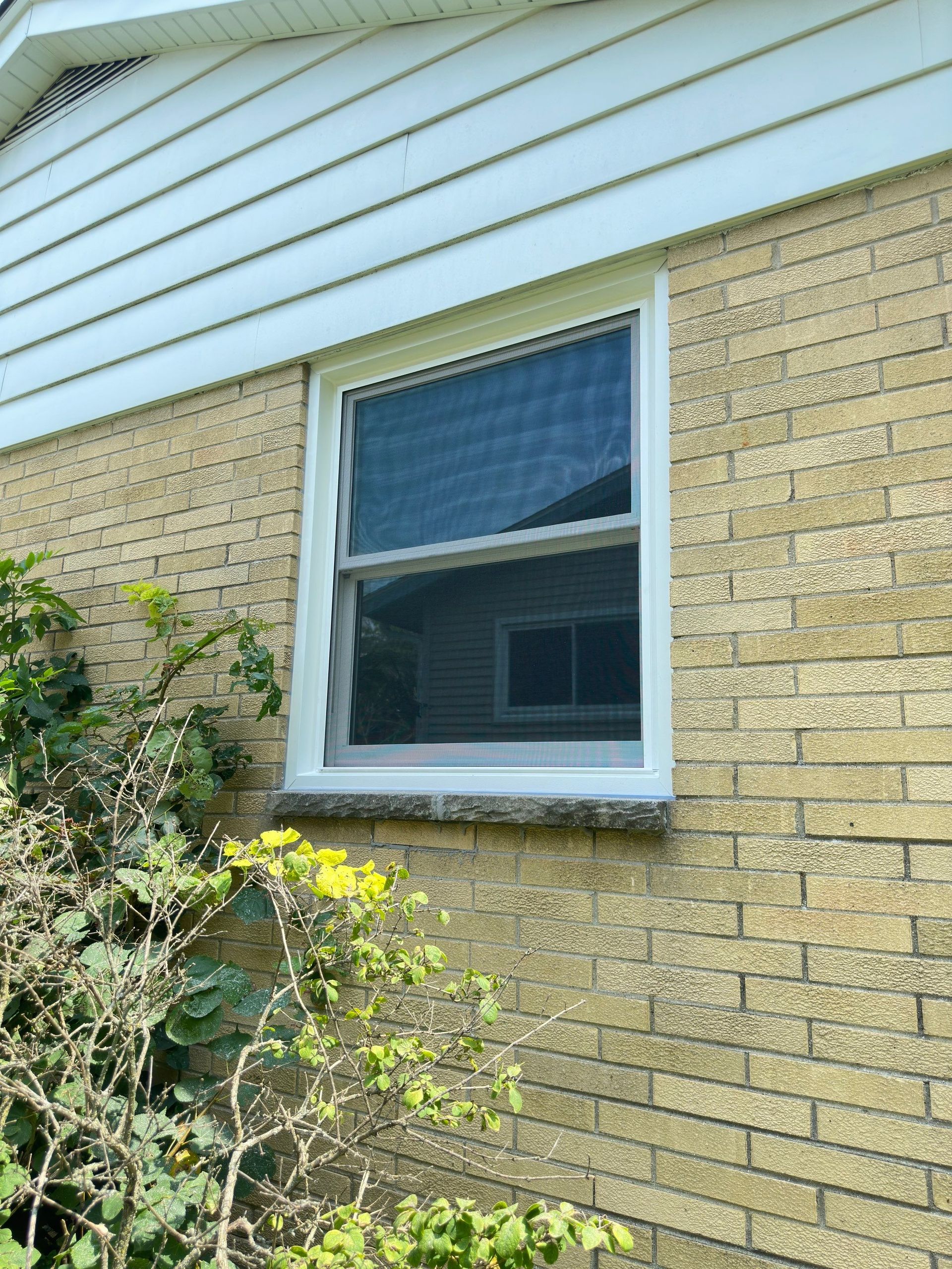 Window Replacement