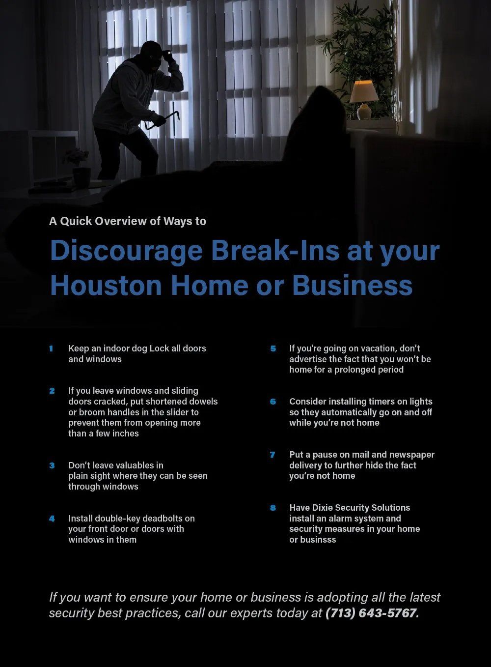 Discourage Break-Ins Infographic — Houston, TX — Dixie Safe & Lock Service Inc.
