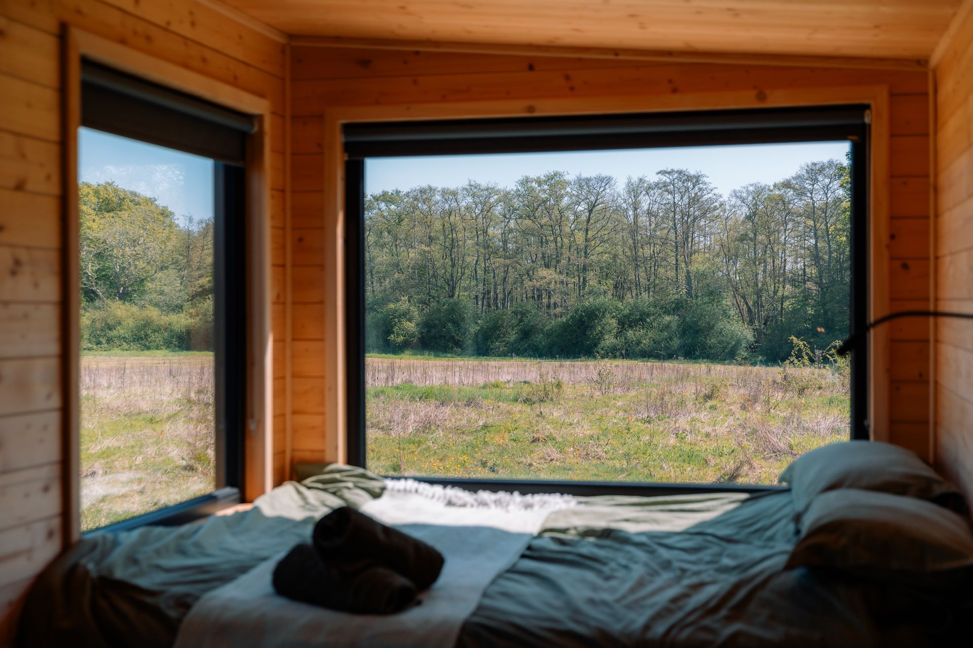 View from cabin bed overlooking wildflower meadow and woodland in East Sussex.
