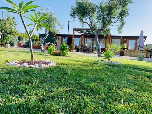 Un rigoglioso prato verde di fronte a una casa rivestita in legno con pergolato, circondata da piante e alberi sotto un cielo limpido.
