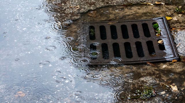 A manhole cover is sitting on a wet sidewalk next to a puddle of water.