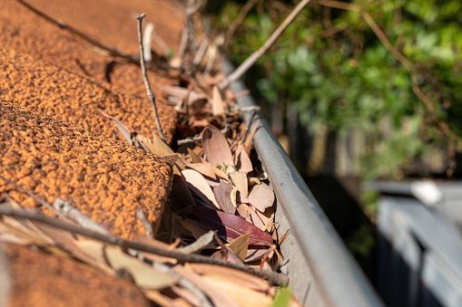A gutter filled with leaves and branches on a roof.