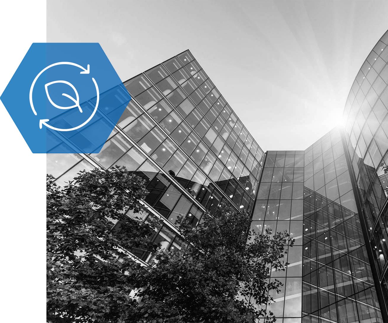 A black and white photo of a building with a blue circle with arrows around it