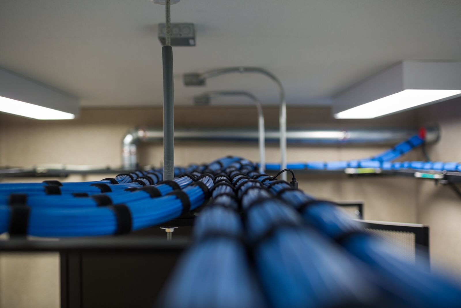 A bunch of blue wires are hanging from the ceiling in a room.
