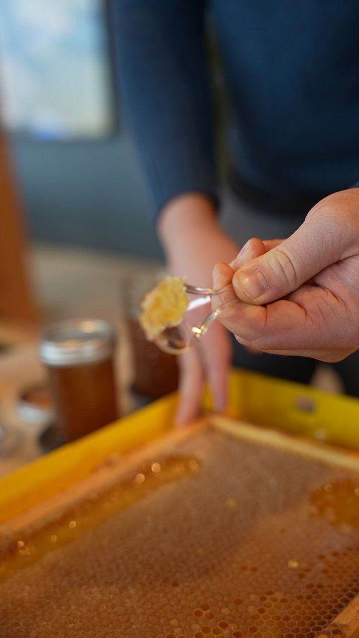Person holding a spoon with honeycomb over a frame filled with honeycomb, blurred background.