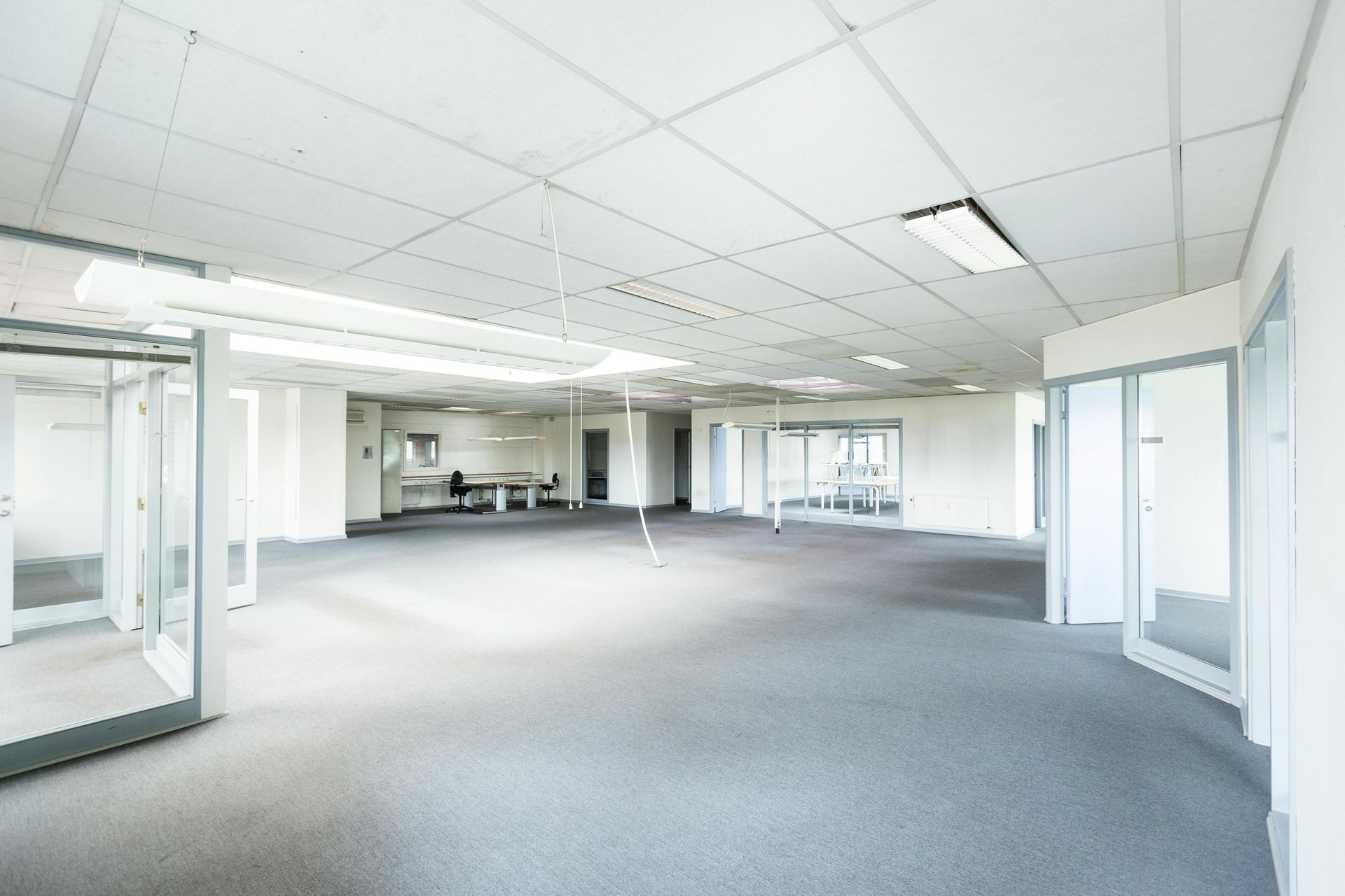 Empty modern office space with gray carpet, white ceiling panels, and glass-walled rooms