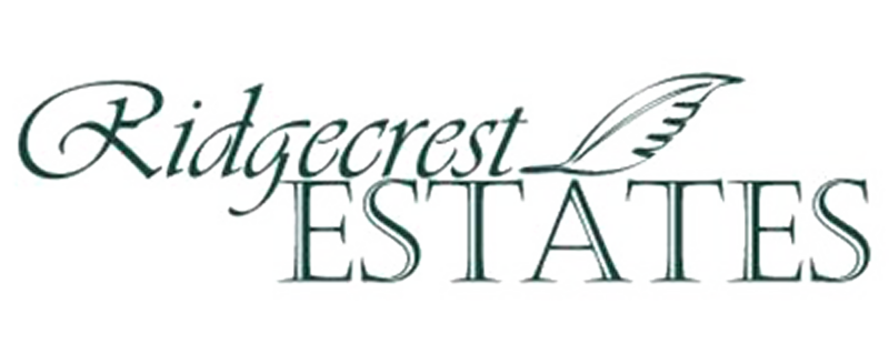 Company Logo - Header