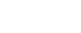 Company Logo - Footer