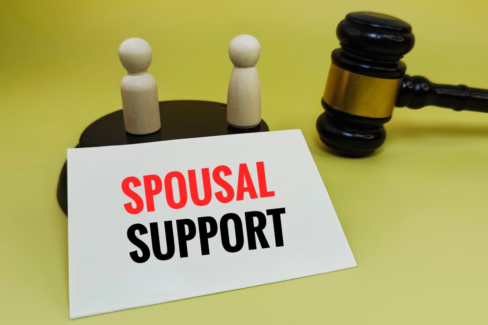 The Role of a Vocational Expert in Determining Spousal Support
