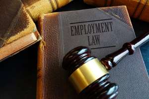 Vocational Experts Are Not Economists – Documenting the Loss of Earnings in Employment Law Cases