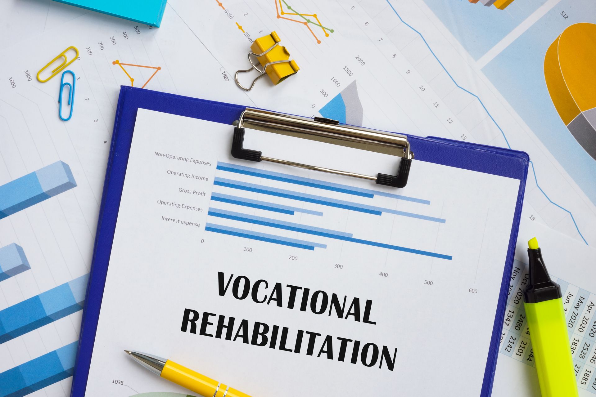 vocational rehabilitation expert