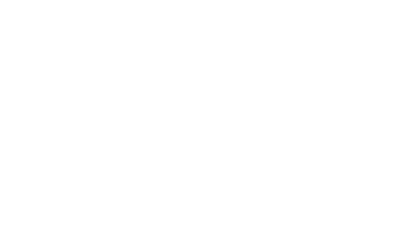 Immagine bianca vuota, priva di contenuto visibile.