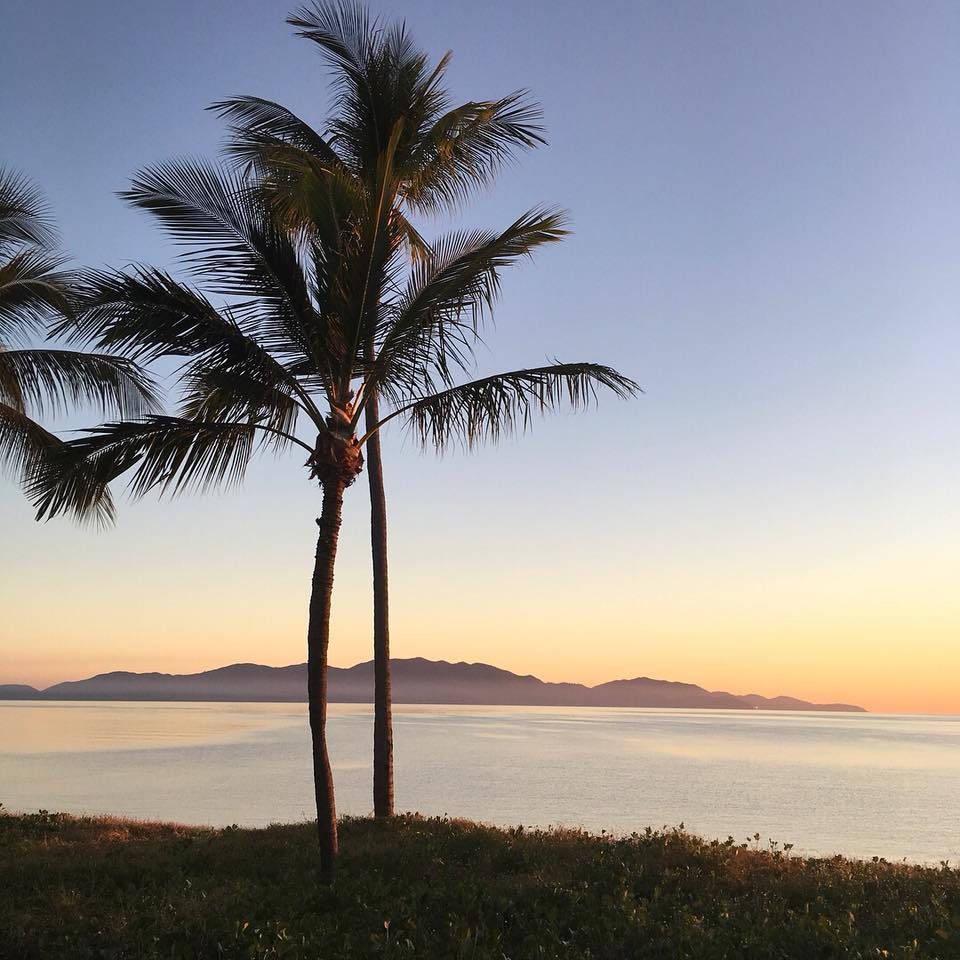 Palm Tree on Hill Overlooking Ocean — Strand Motel in Townsville, QLD