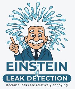 Einstein Leak Detection