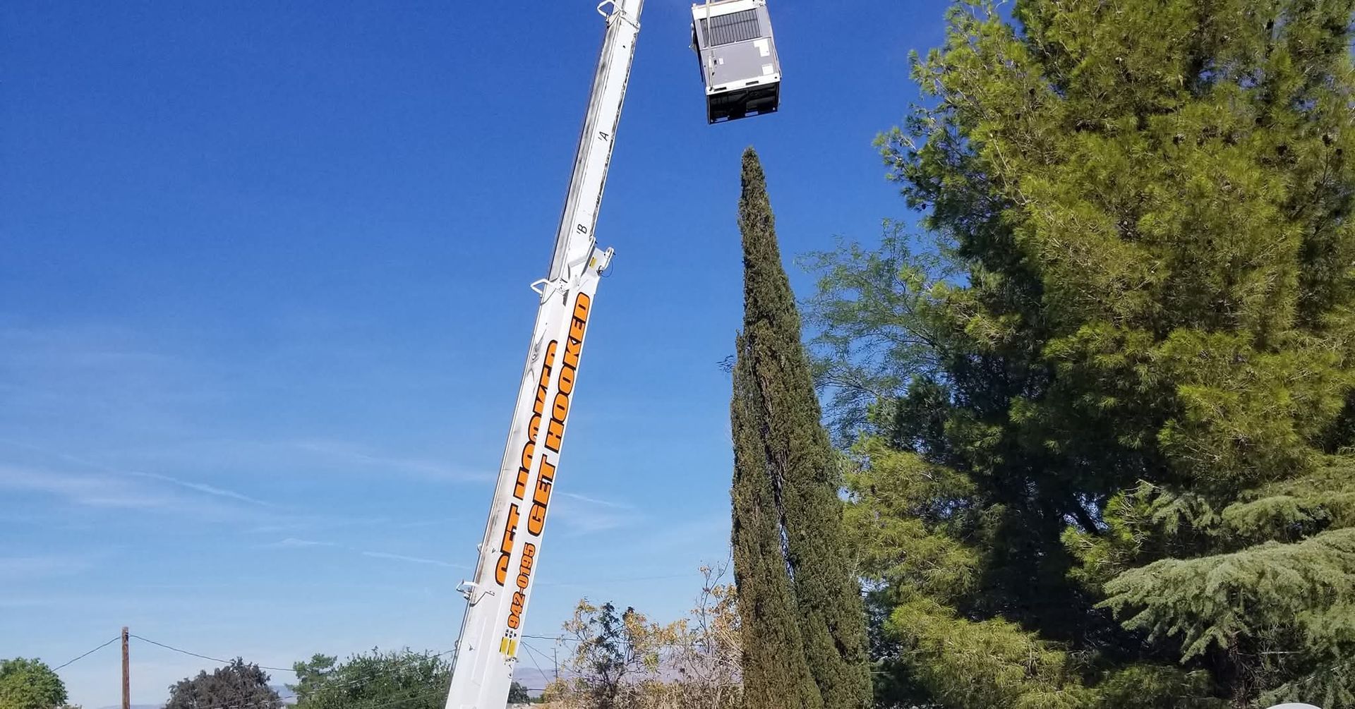 A white utility truck with an extended boom lift raised above a tall, slender coniferous tree against a clear blue sky.