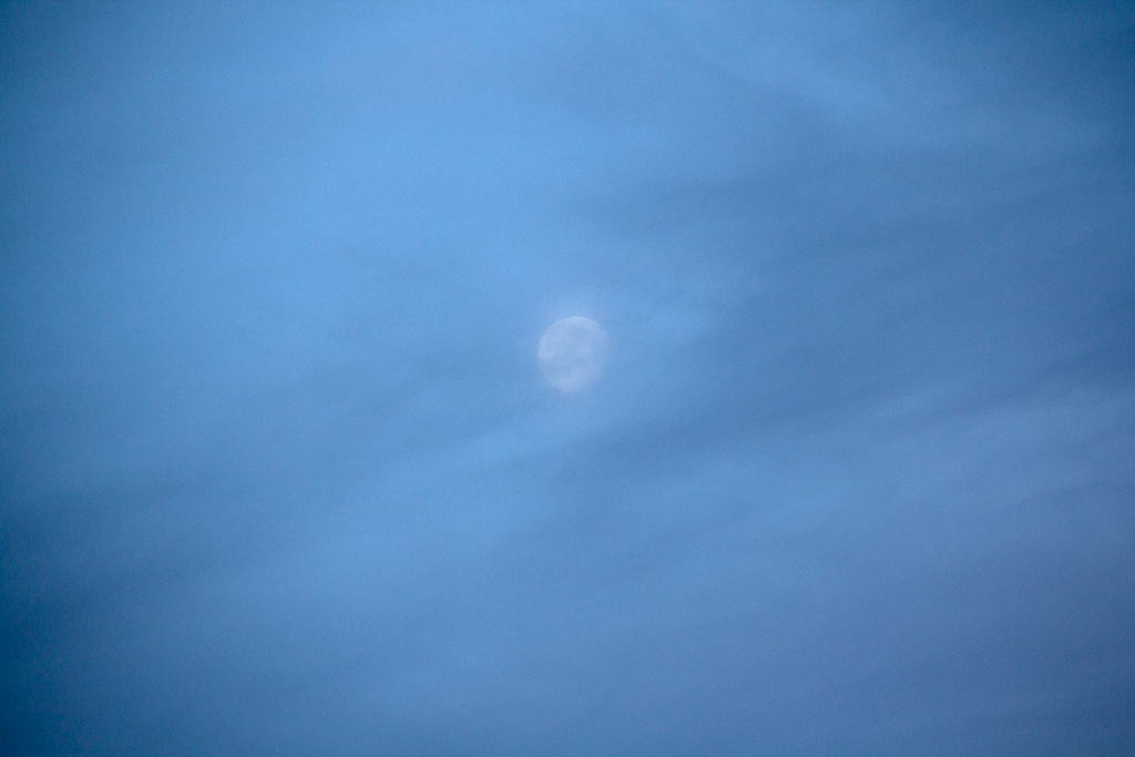 Foggy Moon