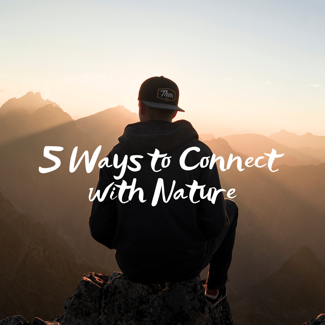 Ways to Connect With Nature in the City - Featured Image