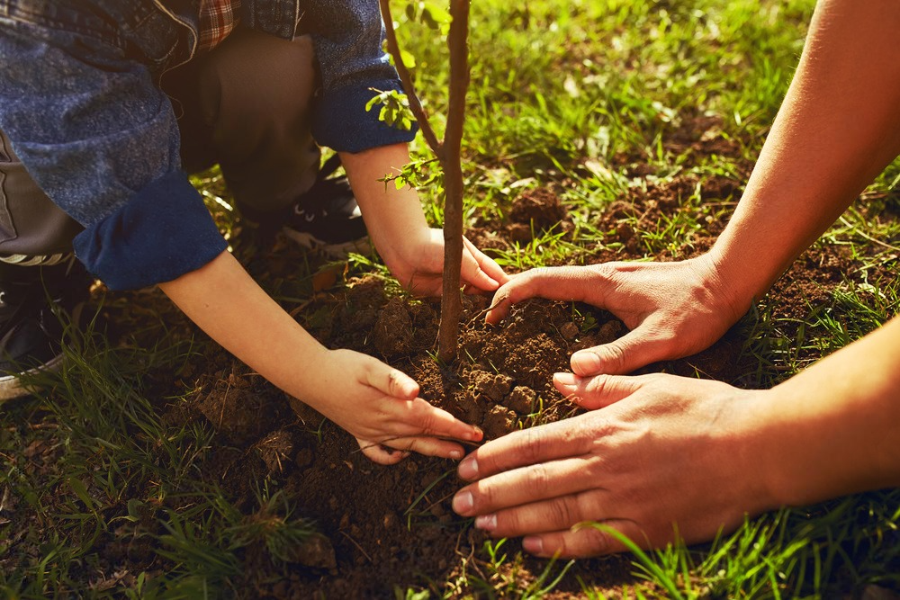 a man and a child are planting a tree together