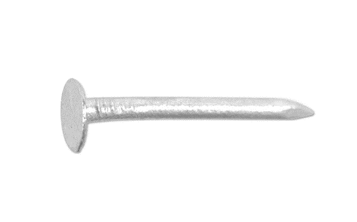 A close up of a clout nail on a white background.