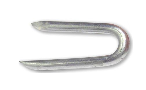 A close up of a metal  fencing nail on a white background.