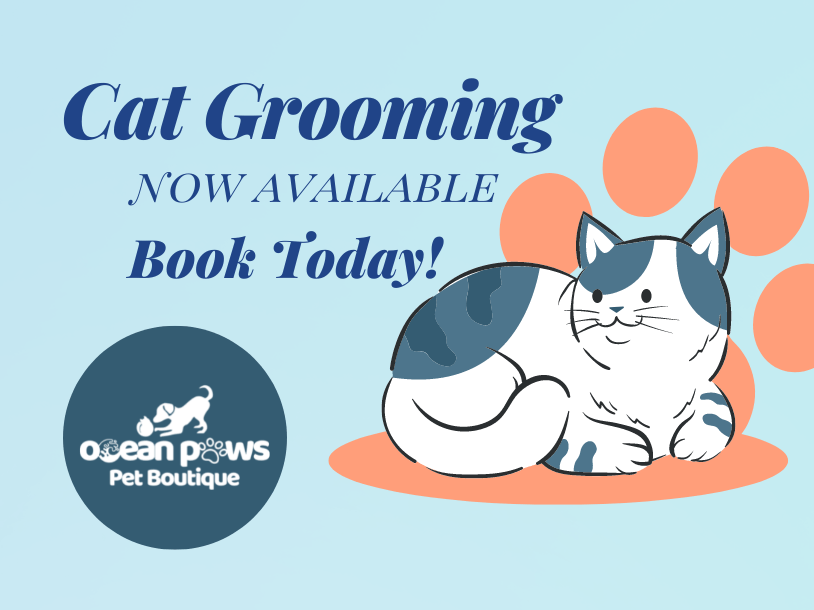 Cat Grooming now available, book today!
