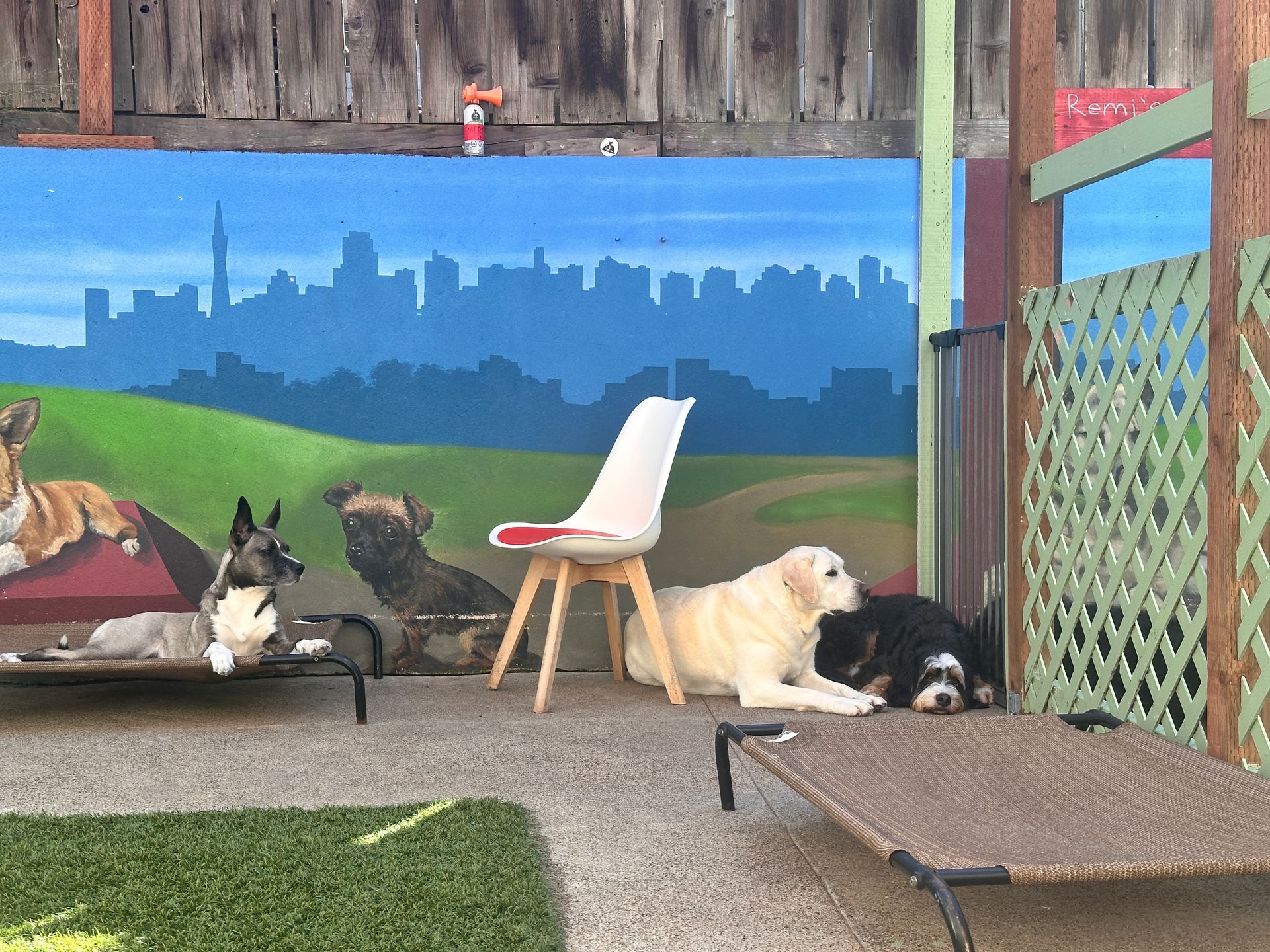 A group of dogs are laying on a patio in front of a mural.