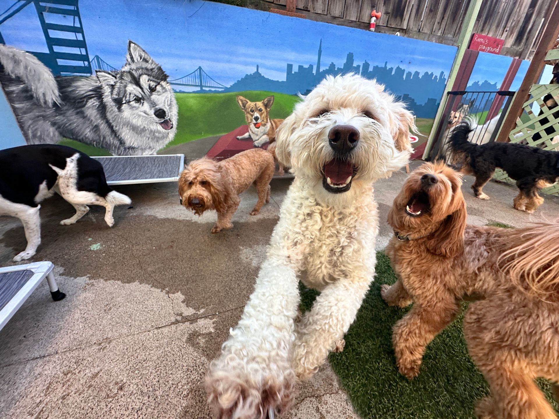 A group of dogs are standing next to each other in front of a mural.