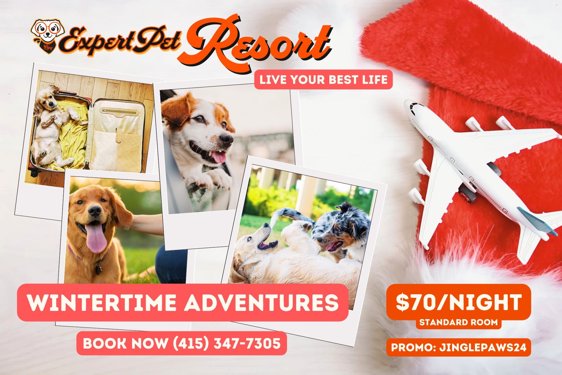 Advertisement for Expert Pet Resort featuring photos of dogs